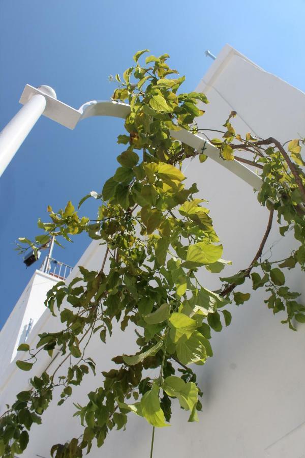 L'Angolo Di Ostuni - Home&Terracex4 Zewnętrze zdjęcie