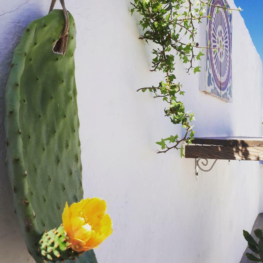 L'Angolo Di Ostuni - Home&Terracex4 Zewnętrze zdjęcie